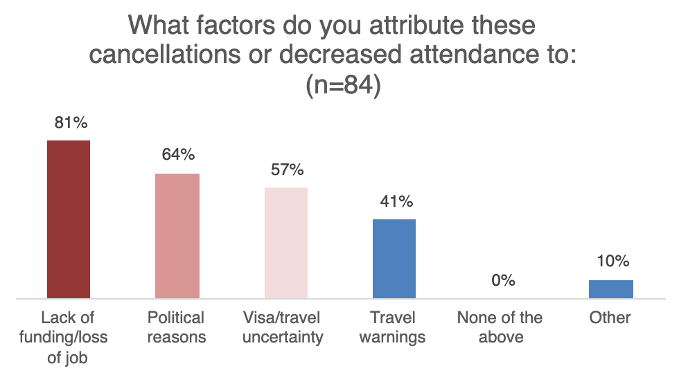 Navigating Travel Complications: Visa and Border Challenges - visual representation