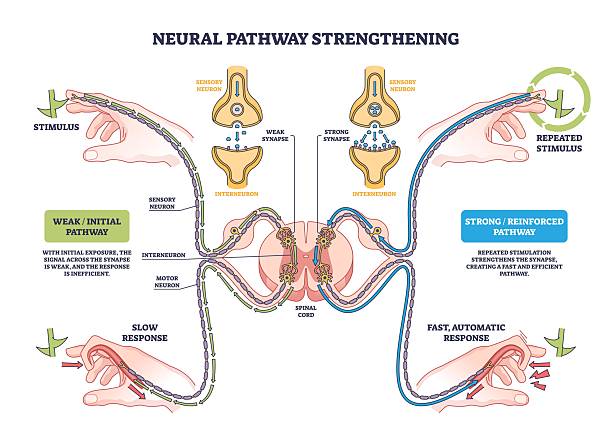 The Dopamine Trap - visual representation