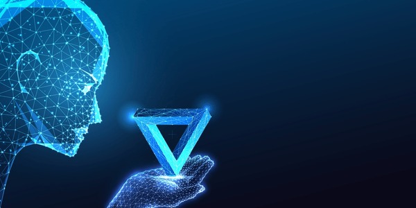 Professional Identity and the Problem-Solver Paradox - visual representation