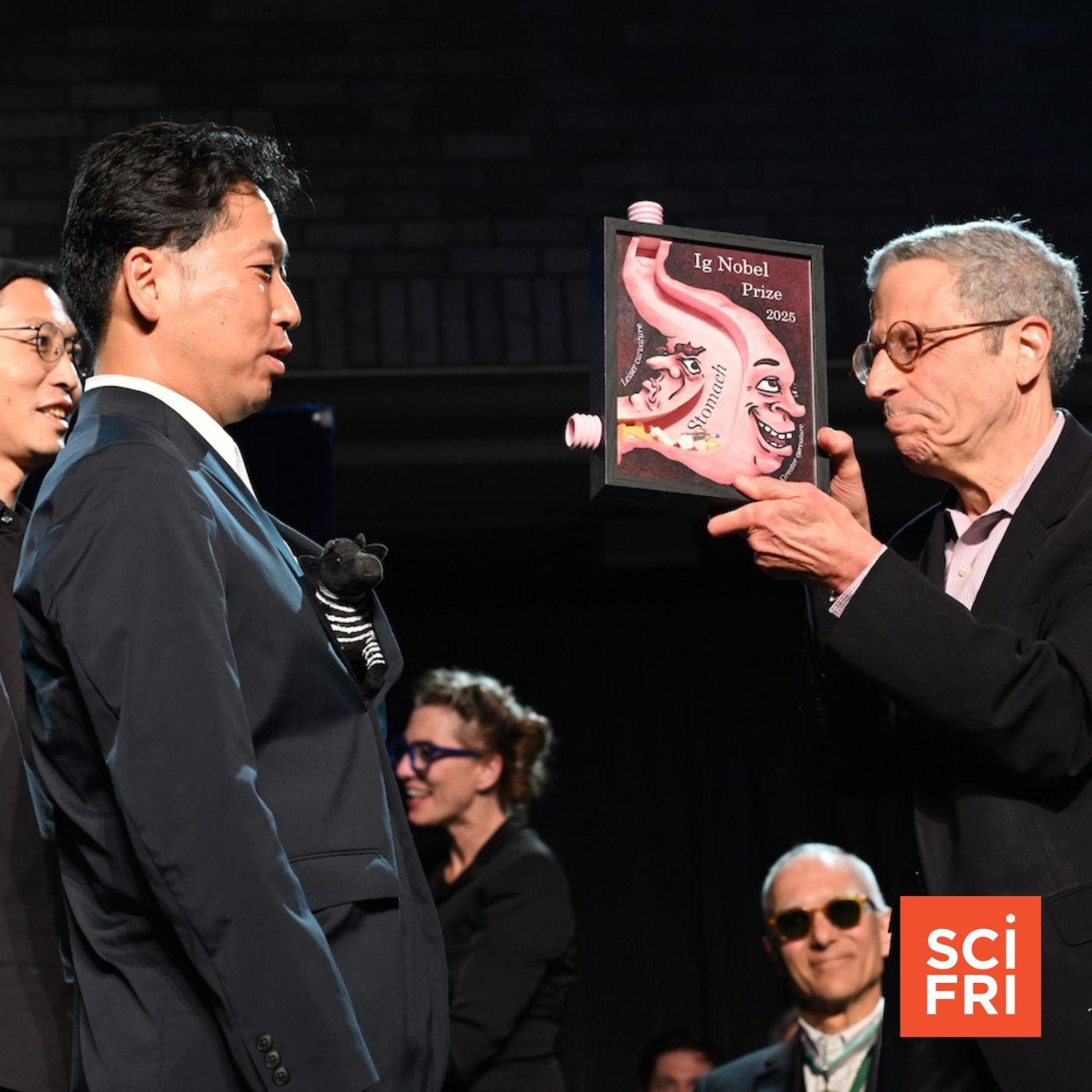 FAQ - visual representation