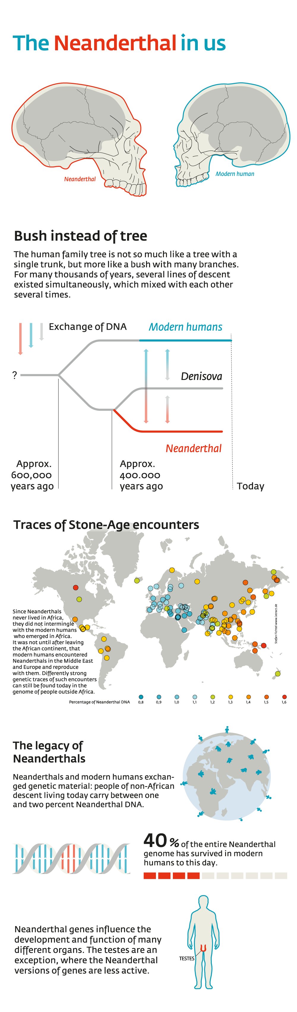 Future Trends in Neanderthal Research - contextual illustration