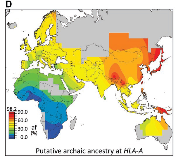 Understanding Neanderthal and Modern Human Interactions - visual representation