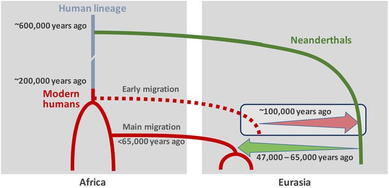 The Dynamics of Interbreeding - contextual illustration