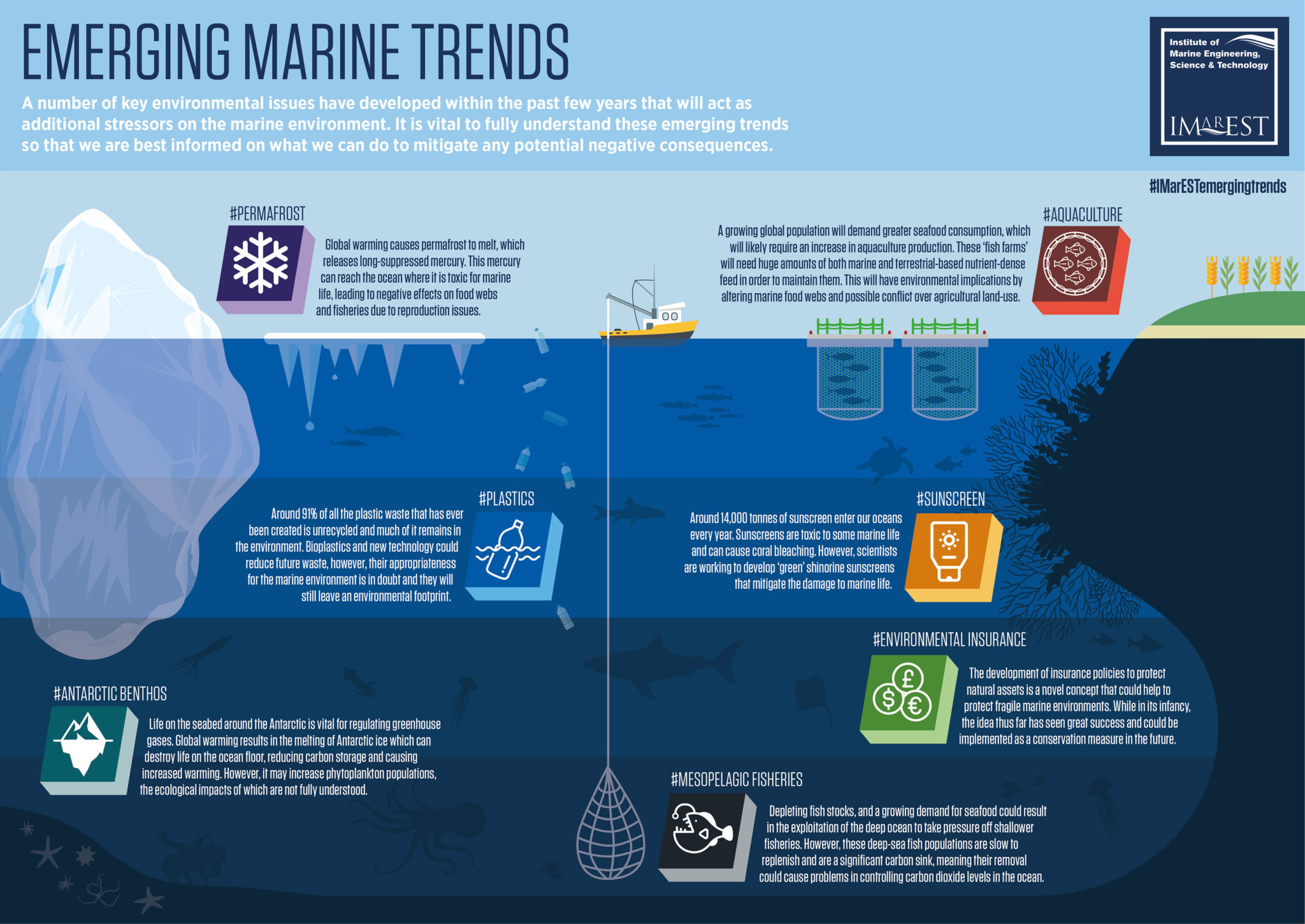 The Future of Marine Animal Transport - contextual illustration
