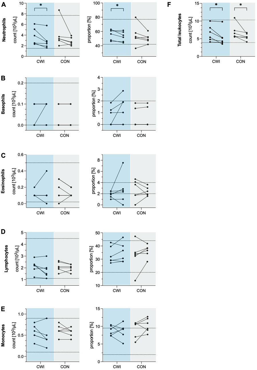 Heart Rate Variability: The Metric Your Smartwatch Is Tracking - visual representation