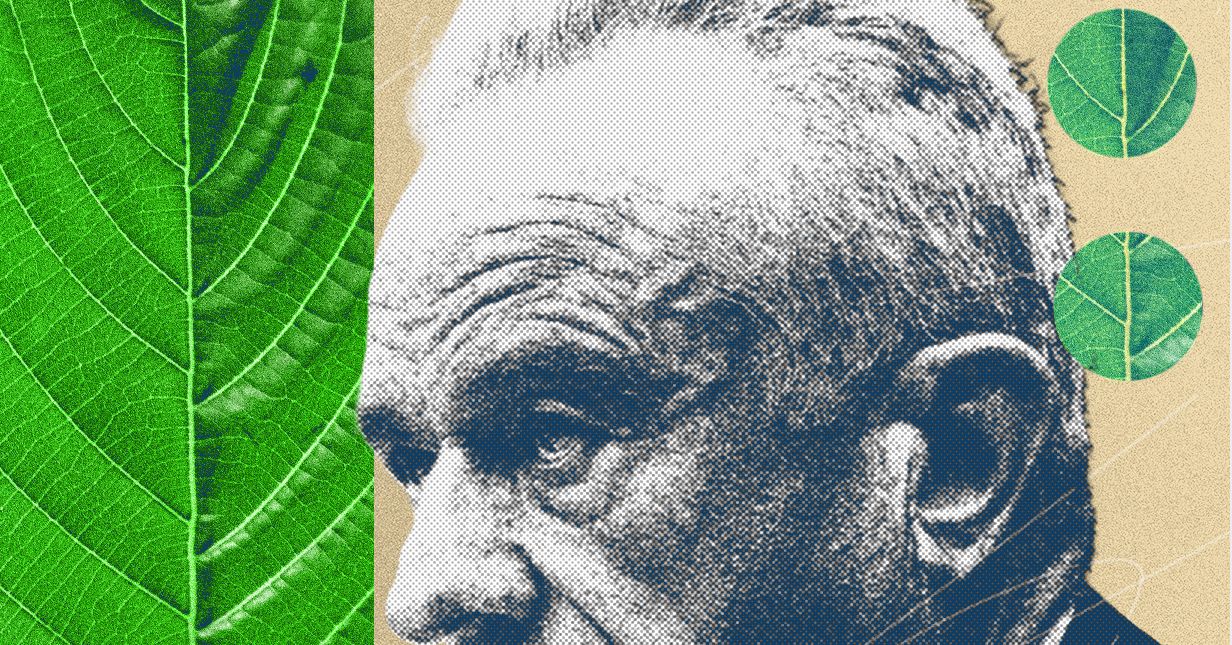 The Kratom Civil War Is Heating Up, and MAHA Has Picked a Side | WIRED