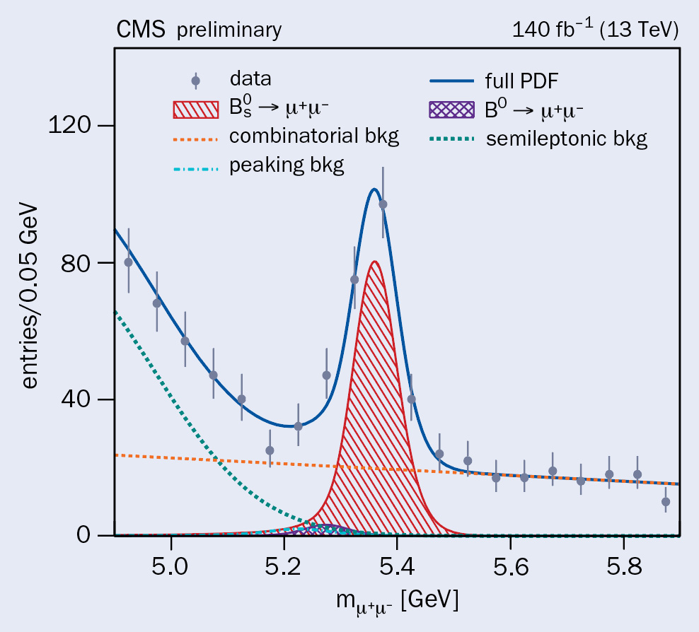 The Standard Model: A Brief Overview - visual representation