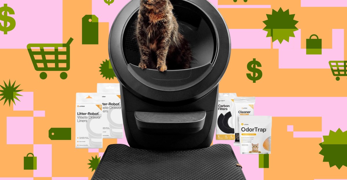 The Litter-Robot 4 bundle is back down to its best price of the year | The Verge