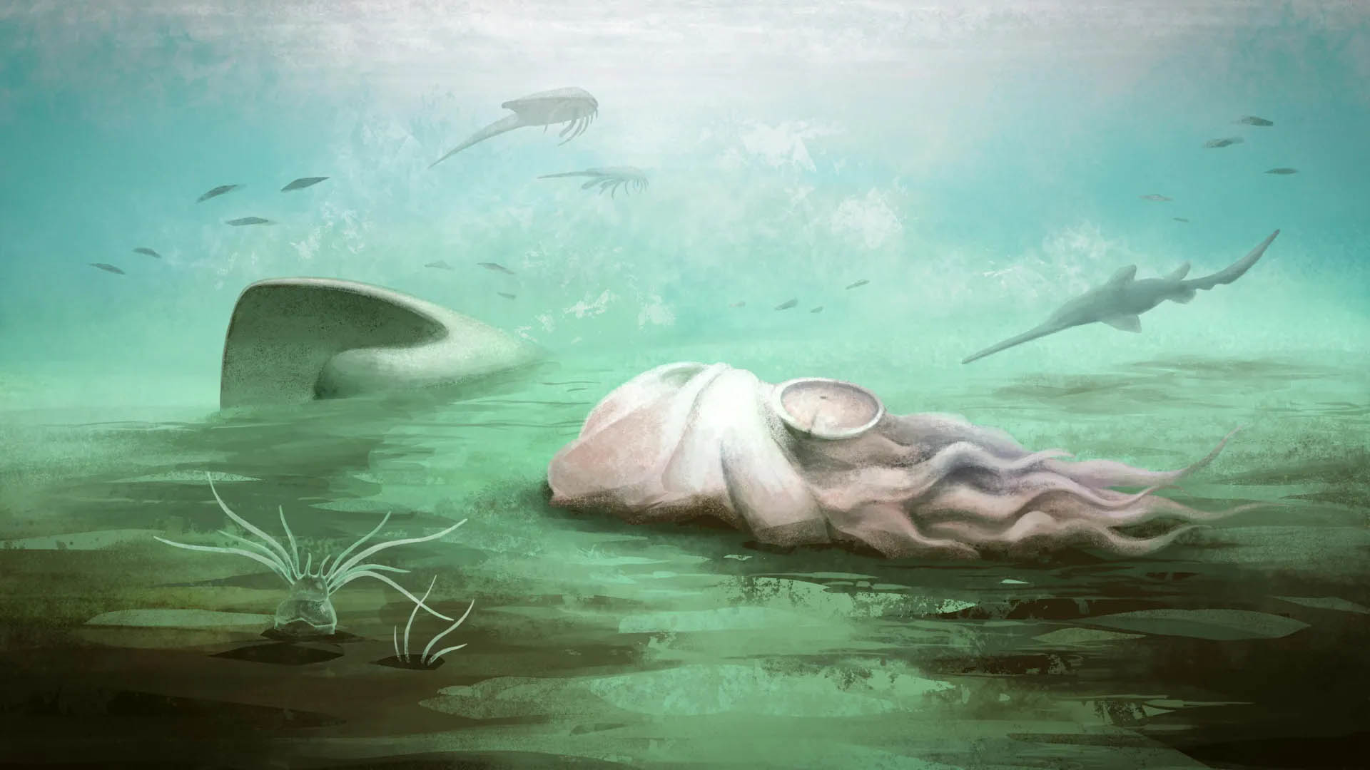 Introduction - contextual illustration