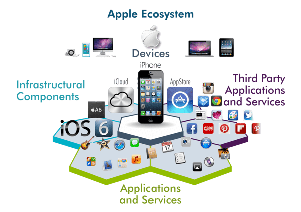 Software and Ecosystem - contextual illustration