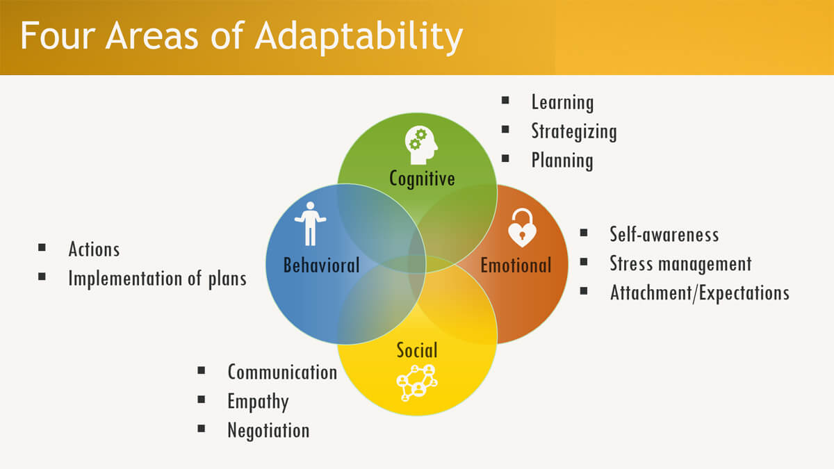 Practical Implementation Guides - visual representation