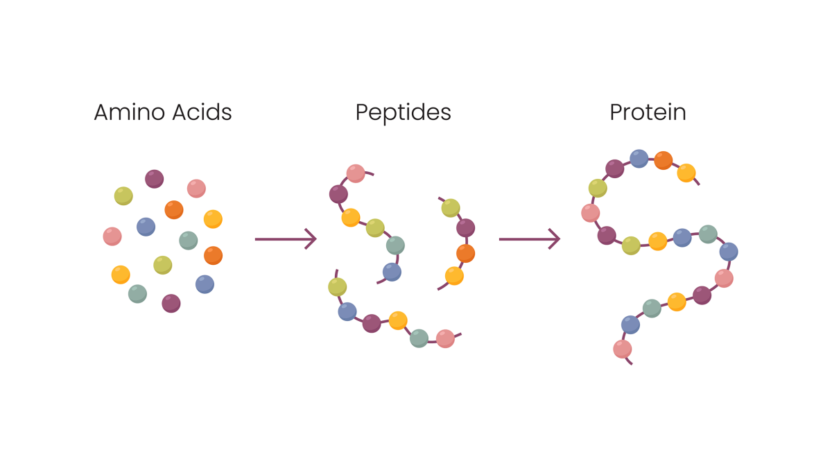 Practical Implementation: Using Peptides Safely - contextual illustration