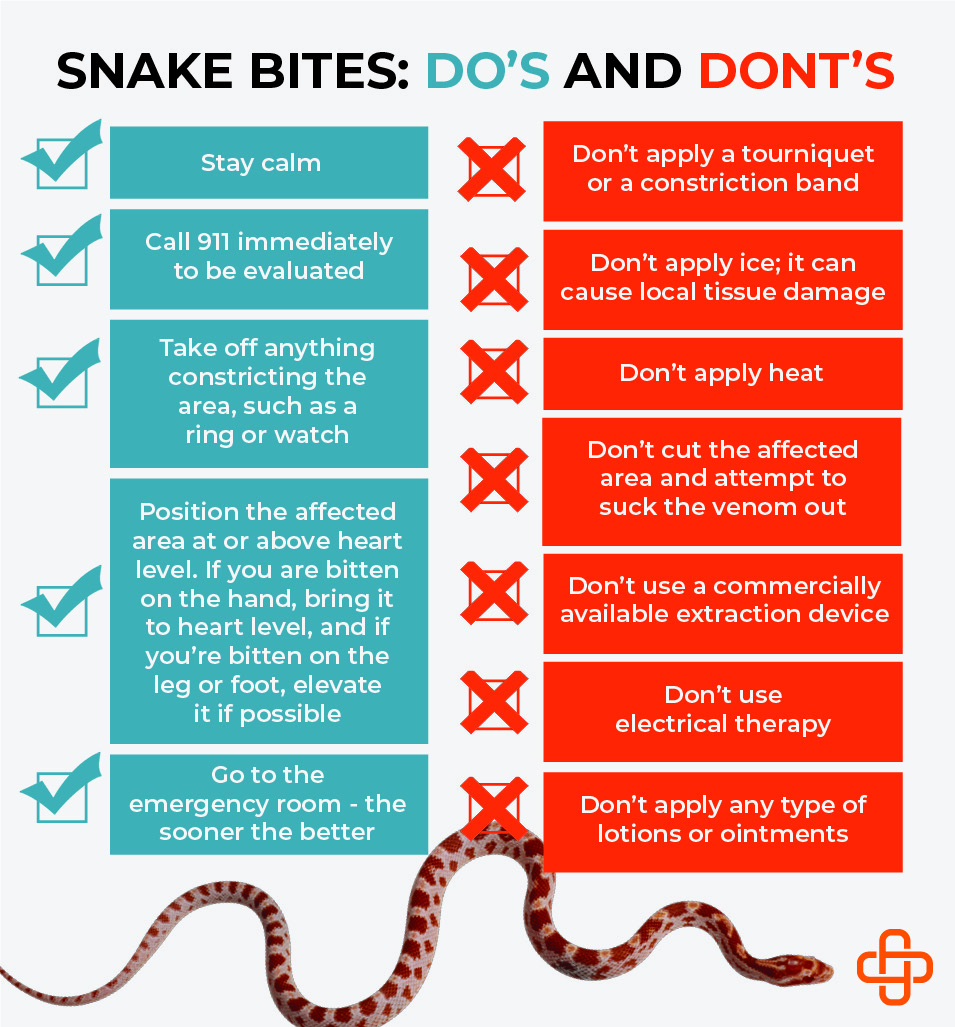 The Attraction to Venomous Snakes - visual representation