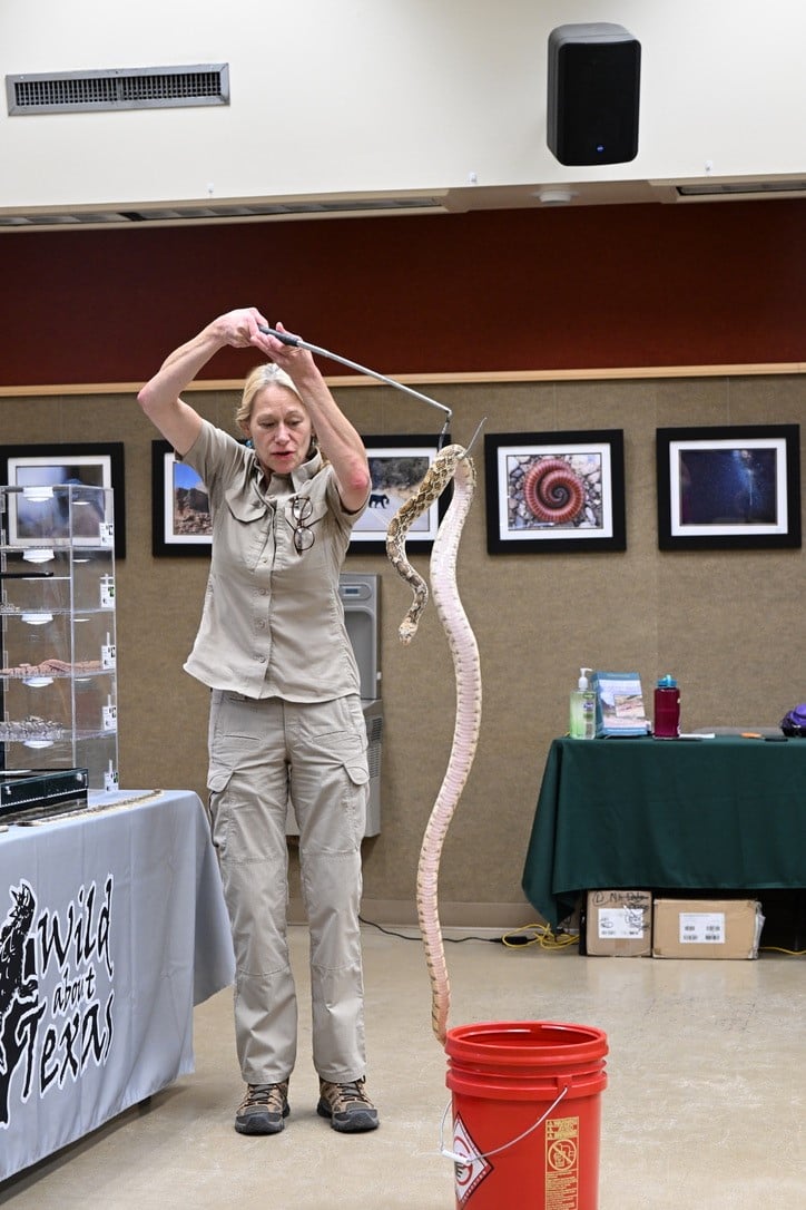 Zoos: A Hub of Expertise - visual representation