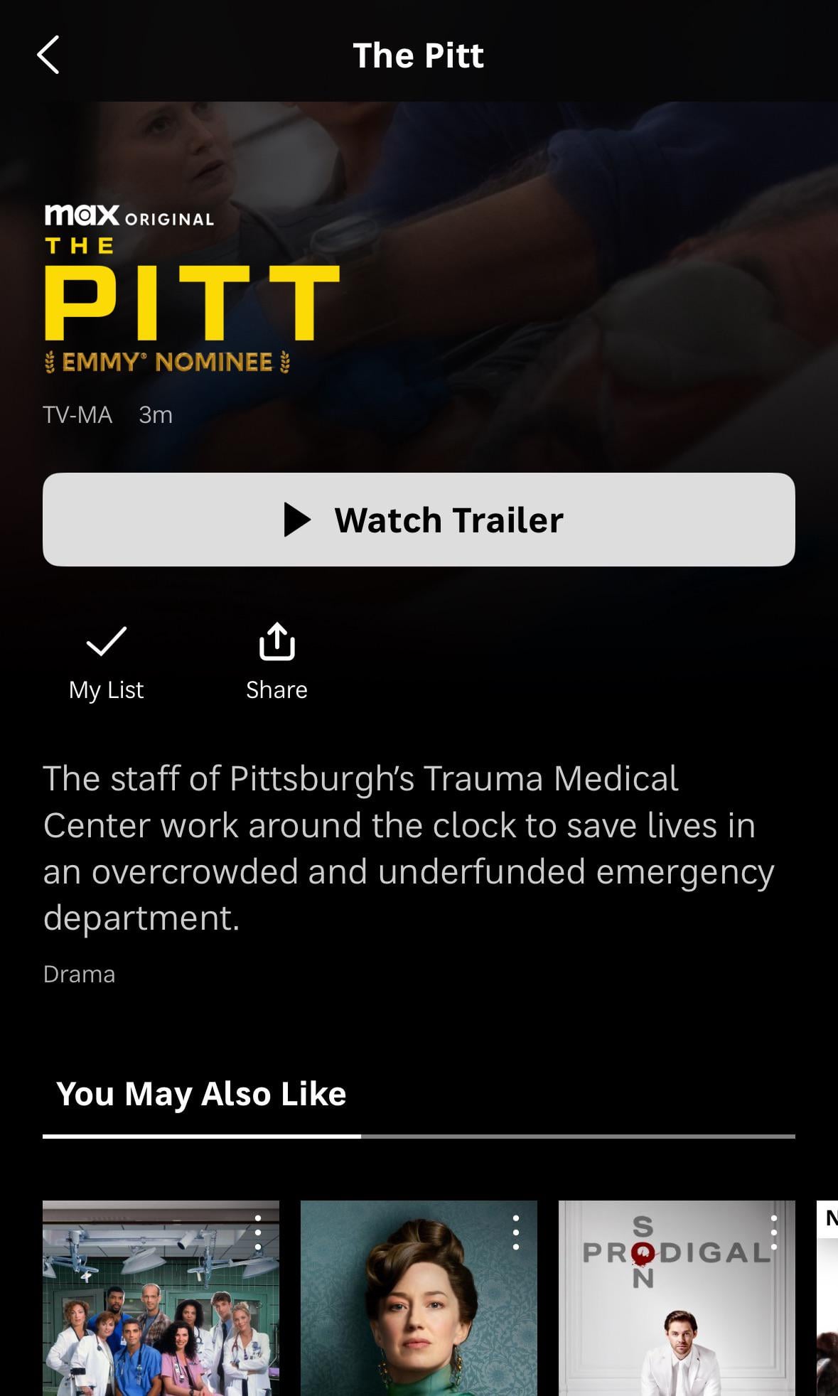 What Is The Pitt? - visual representation