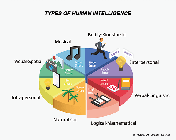 The Role of Human Intelligence in AI - contextual illustration