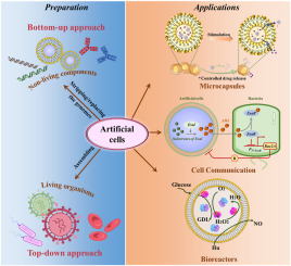 6. Potential Applications of Artificial Cells - contextual illustration
