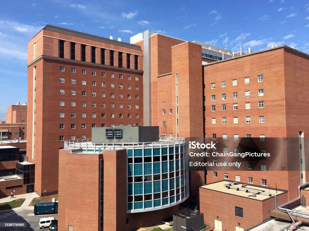 The NIH's Role in Promoting Scientific Freedom - contextual illustration