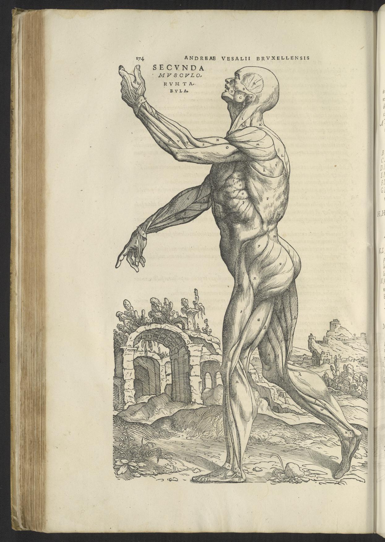 The Rise of DIY Science in the Renaissance - visual representation