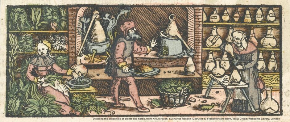 The Process of Creating Home Remedies - contextual illustration