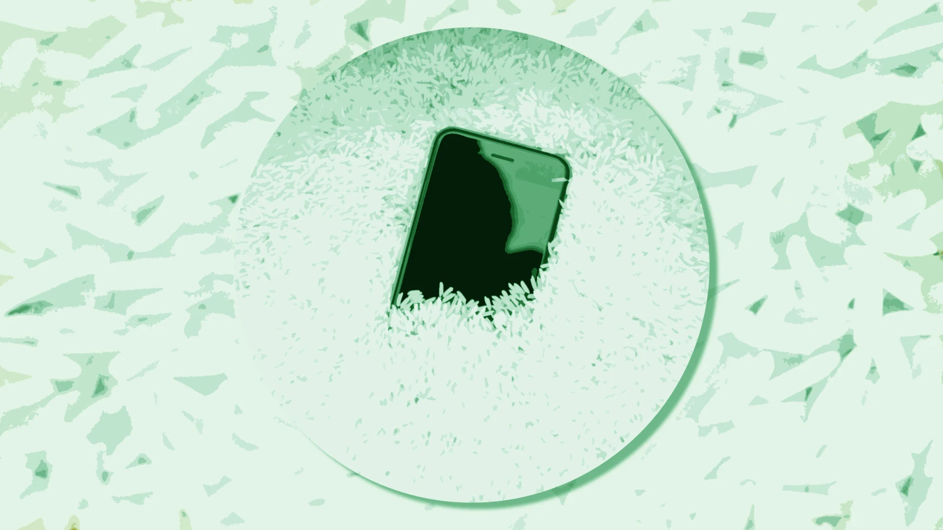 The Bottom Line: Stop the Rice, Start Being Smarter - visual representation