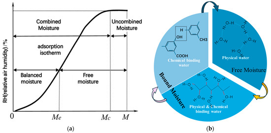The Science: What Actually Happens When Rice Tries to Dry Your Phone - contextual illustration