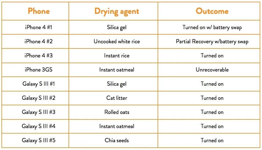 When and Why the Rice Hack Sometimes Works (Survivorship Bias) - visual representation