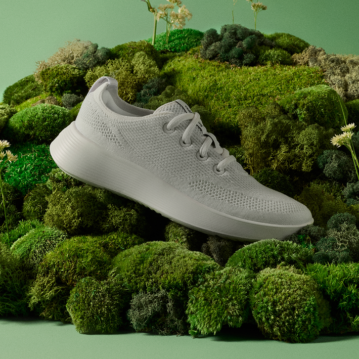 The Allbirds Phenomenon - contextual illustration