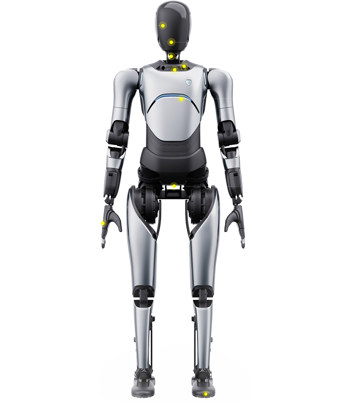 Introduction - visual representation
