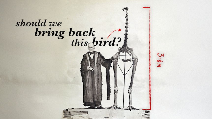 Ethical and Ecological Considerations - contextual illustration