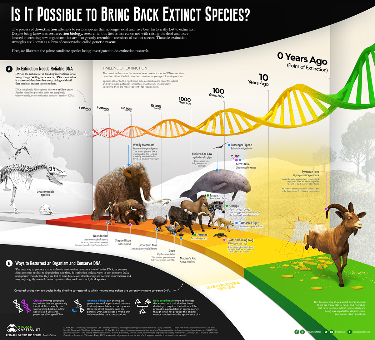 Future Trends and Recommendations - contextual illustration