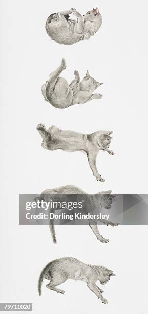 TL; DR - visual representation