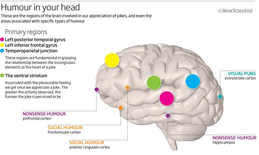 The Role of Humor in Communication - visual representation