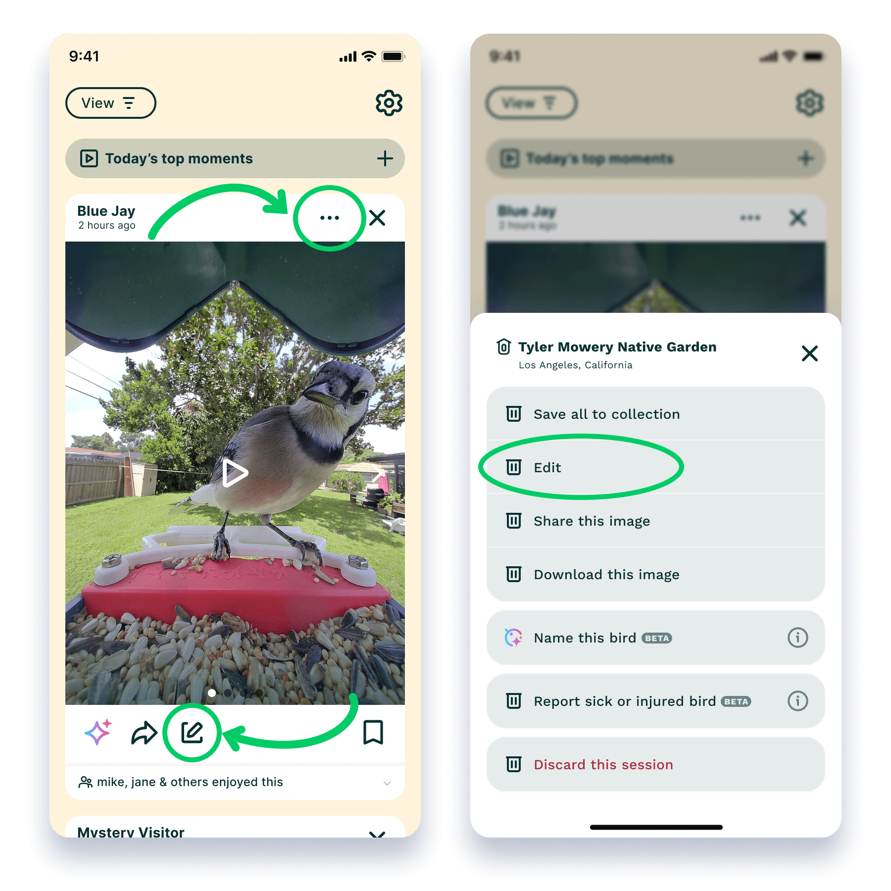 Enhancing Your Birdwatching Experience - contextual illustration
