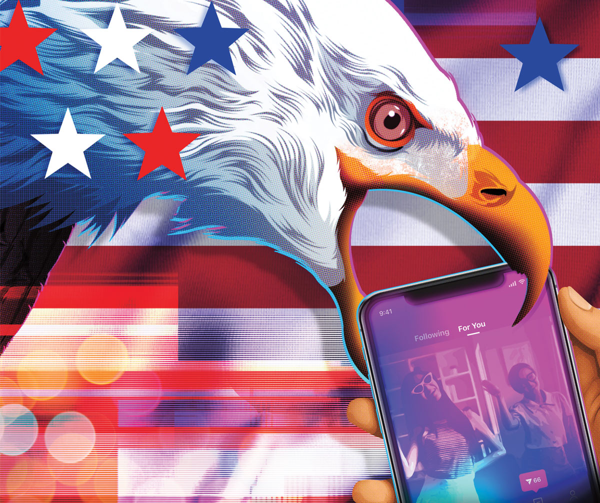 Who Actually Owns What: The Detailed Breakdown - visual representation