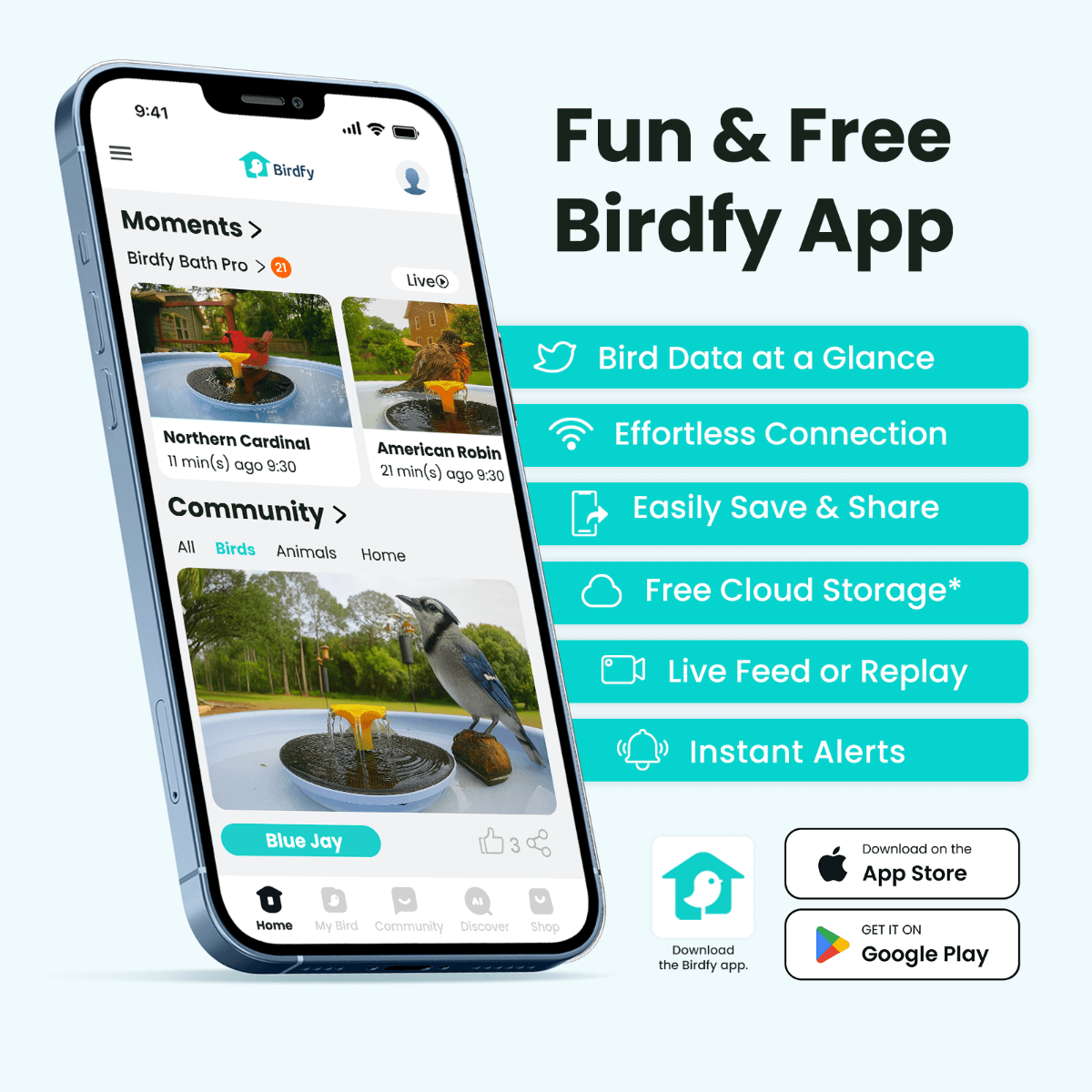 Introduction to Birdfy Bird Bath Pro - visual representation