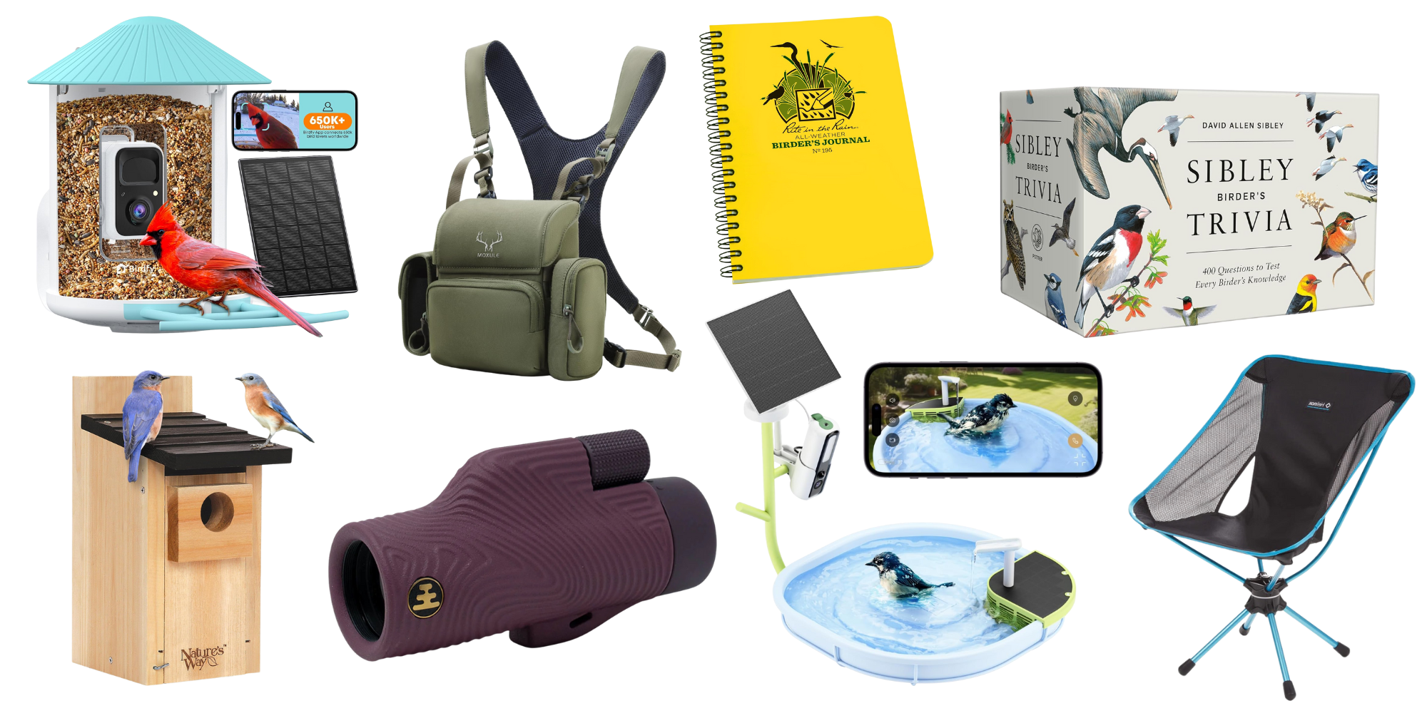 Future Trends in Birding - visual representation
