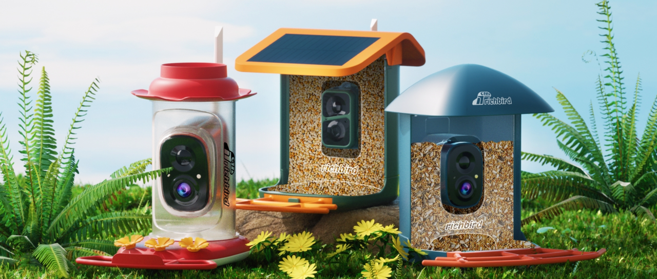 Making the Most of Bird Watching - visual representation