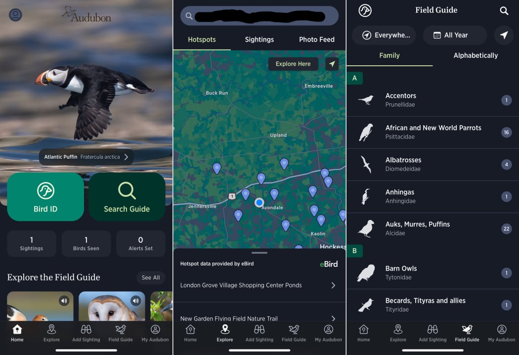Essential Birding Gear - visual representation