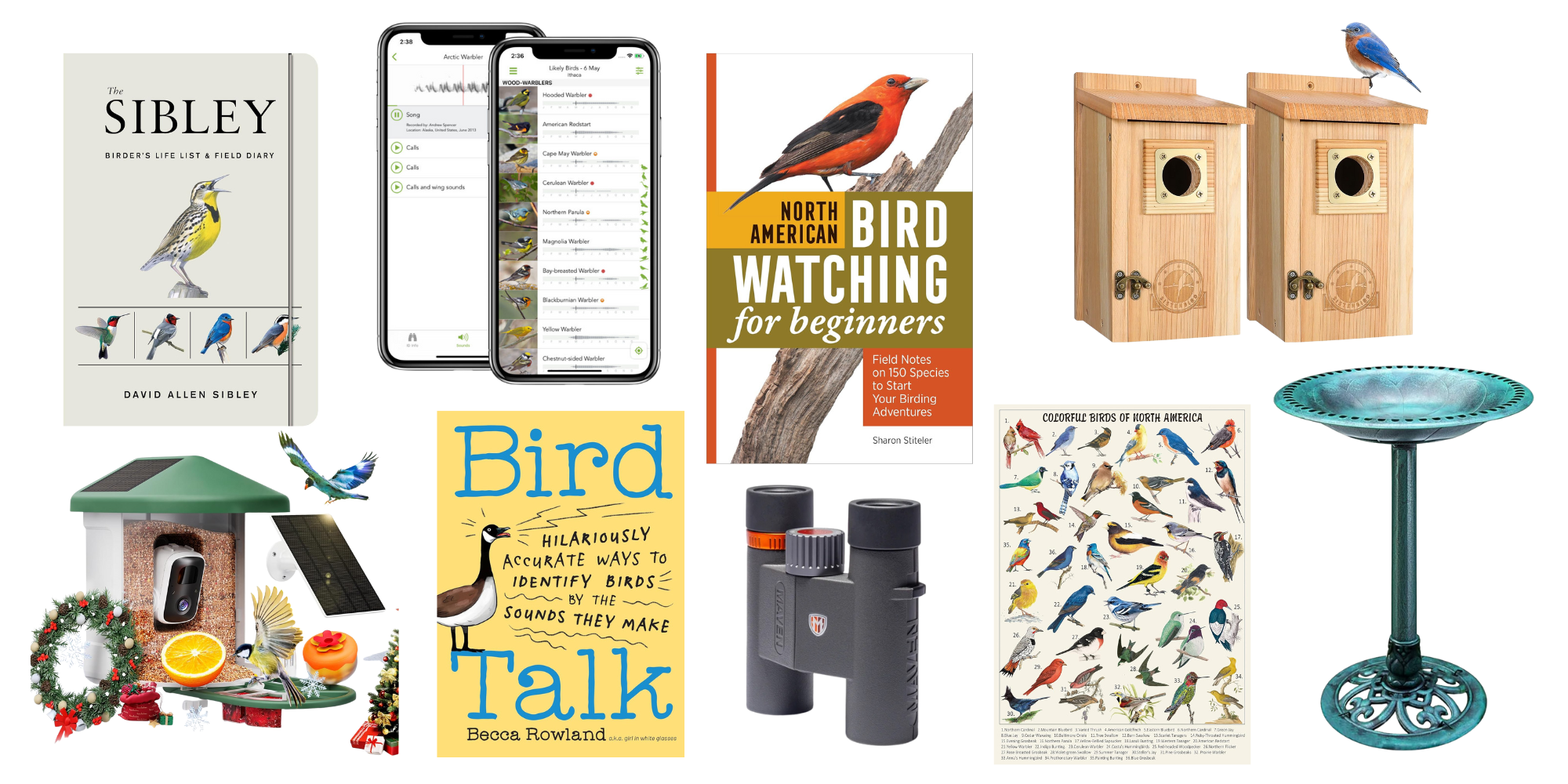Common Pitfalls in Bird Watching - visual representation