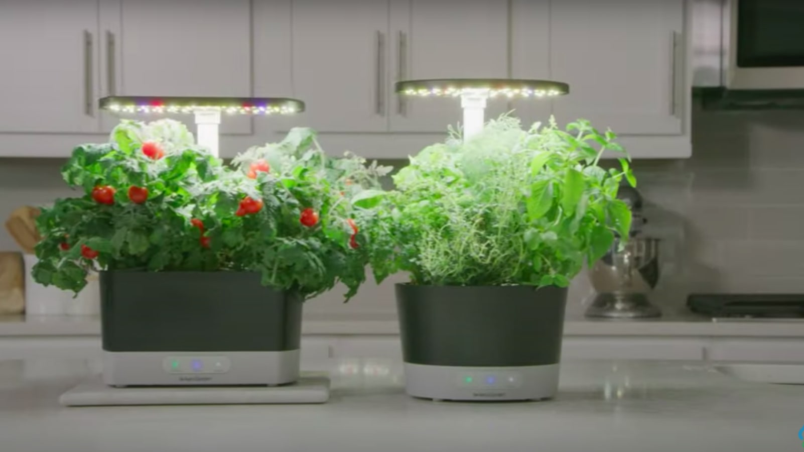Why Indoor Gardening? - visual representation
