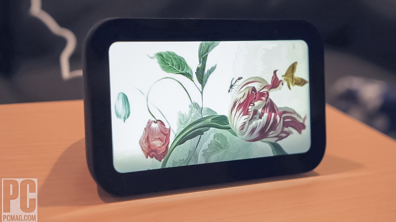 Exploring the Amazon Echo Show Range - visual representation