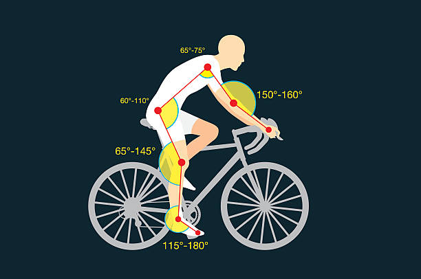 The Professional Bike Fitting Process - contextual illustration