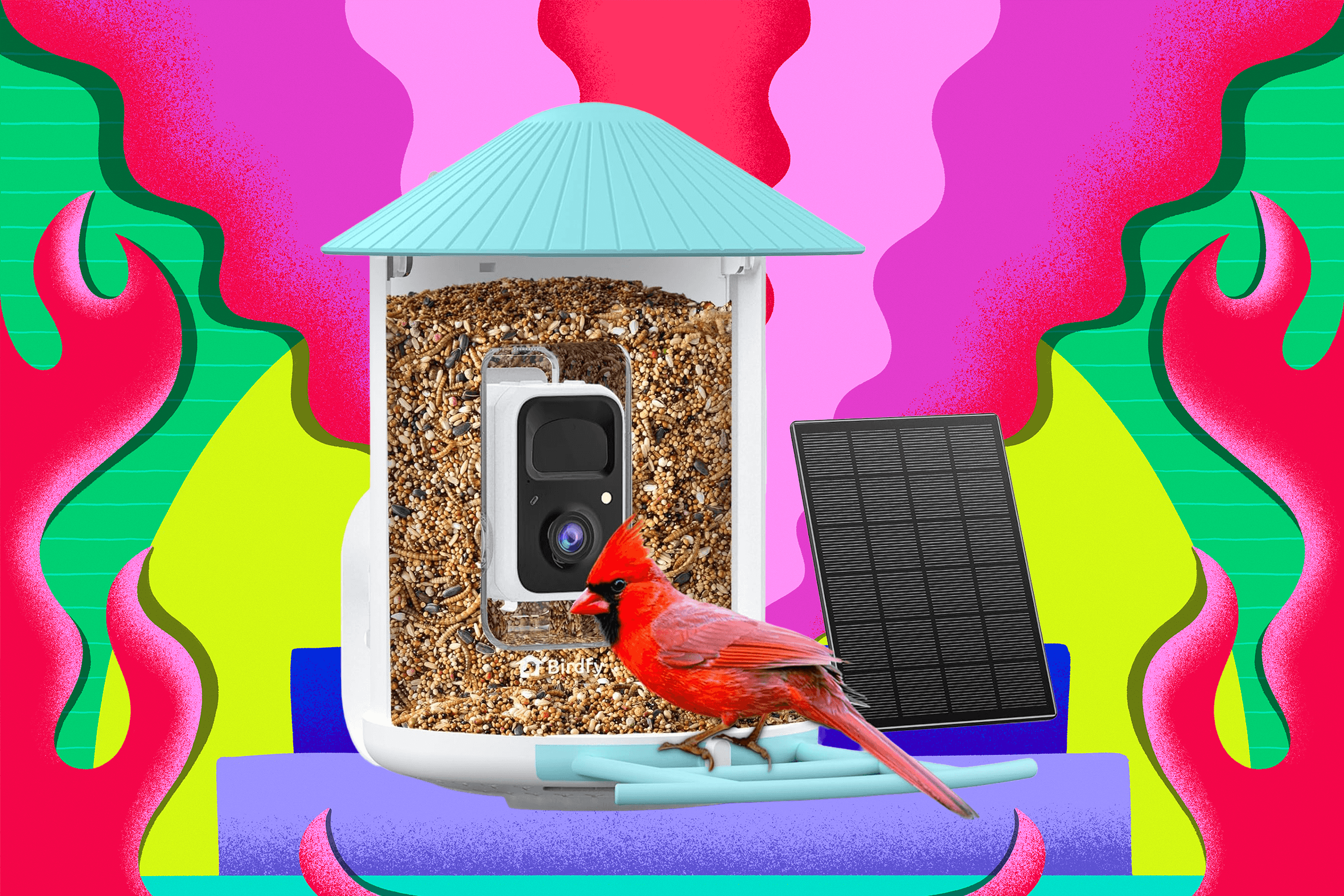 Future Trends in Smart Bird Feeders - contextual illustration