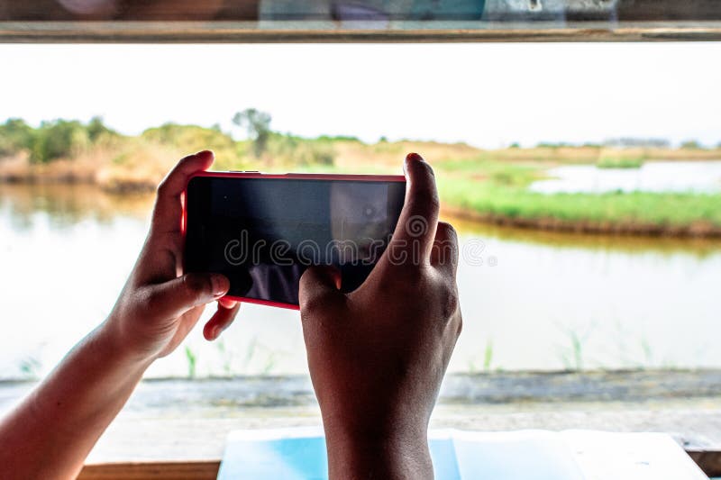 The Projector: Why Your Next Presentation Might Be in the Wilderness - visual representation