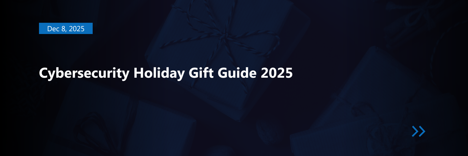 Recommended Next Steps - visual representation