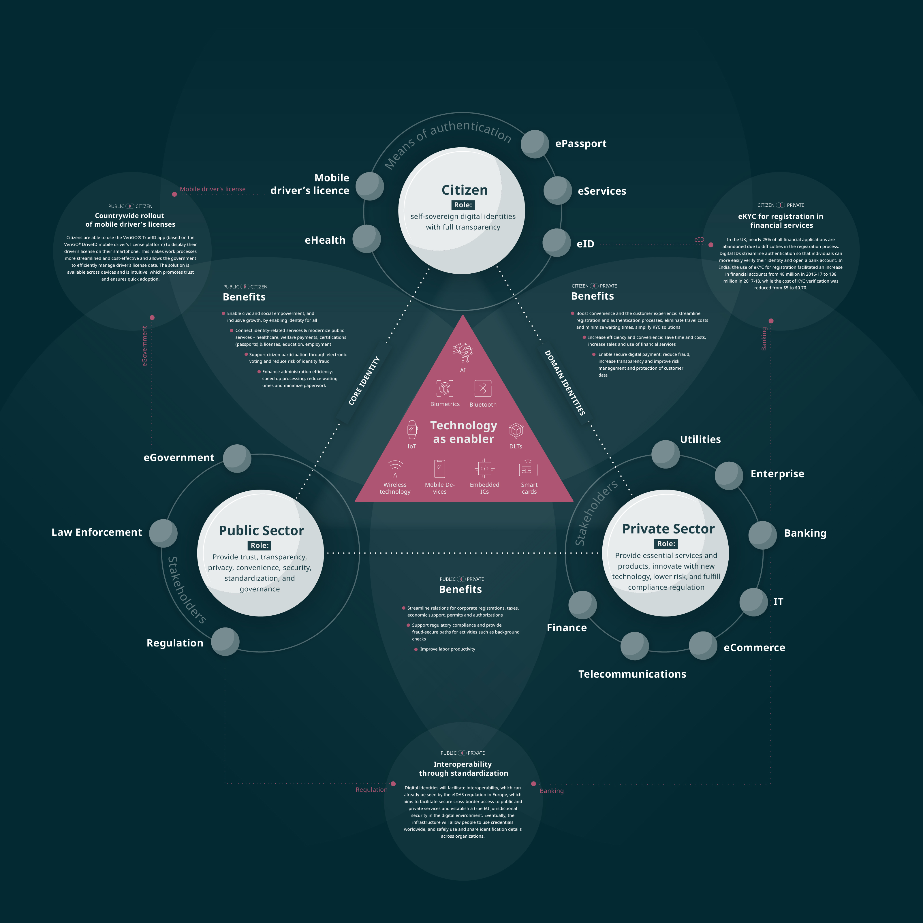 The Role of Digital IDs in Future Travel - visual representation