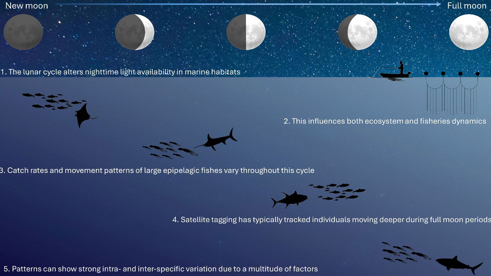 The Path to the Moon - visual representation