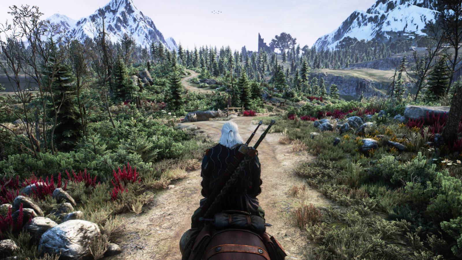 What's New in The Witcher 3 Remaster? - visual representation