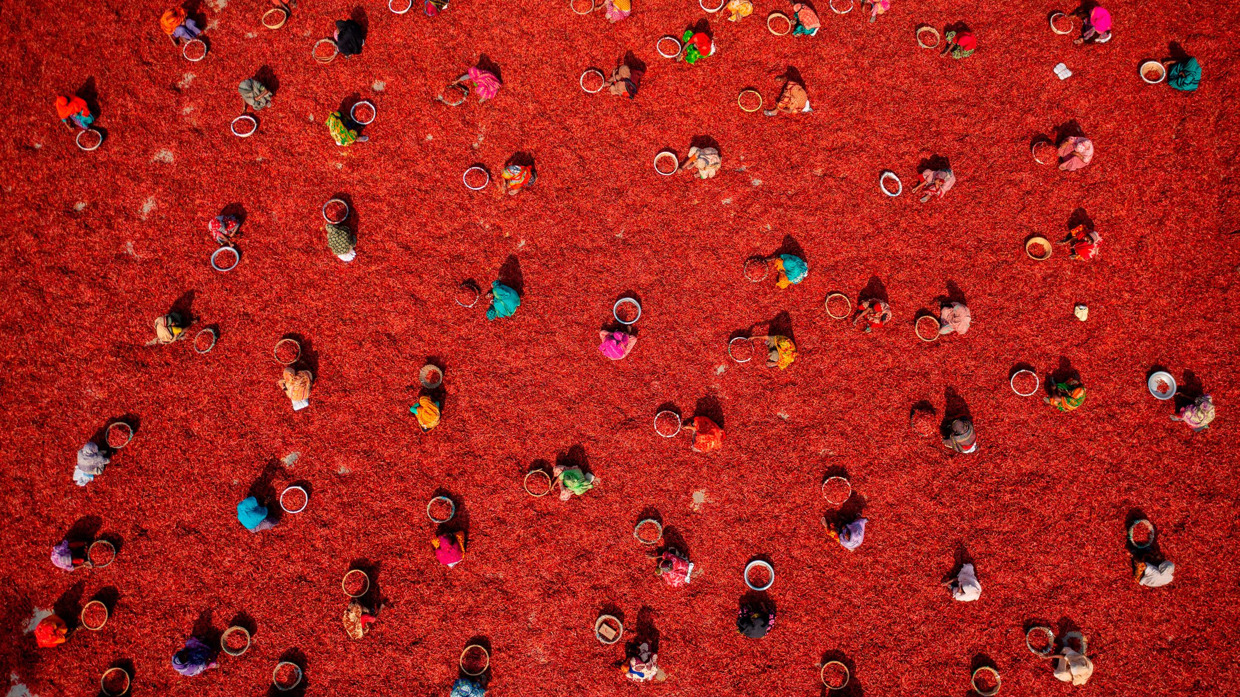 This vibrant bird’s-eye view of a chili farm in Bangladesh just won a major aerial photography award — and it was captured with a DJI Mavic 4 Pro | TechRadar